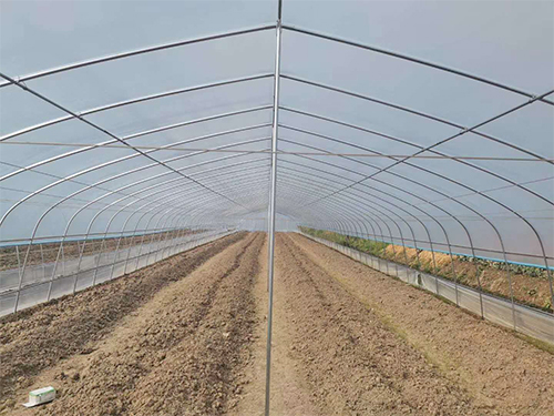 蔬菜大棚加工成品圖